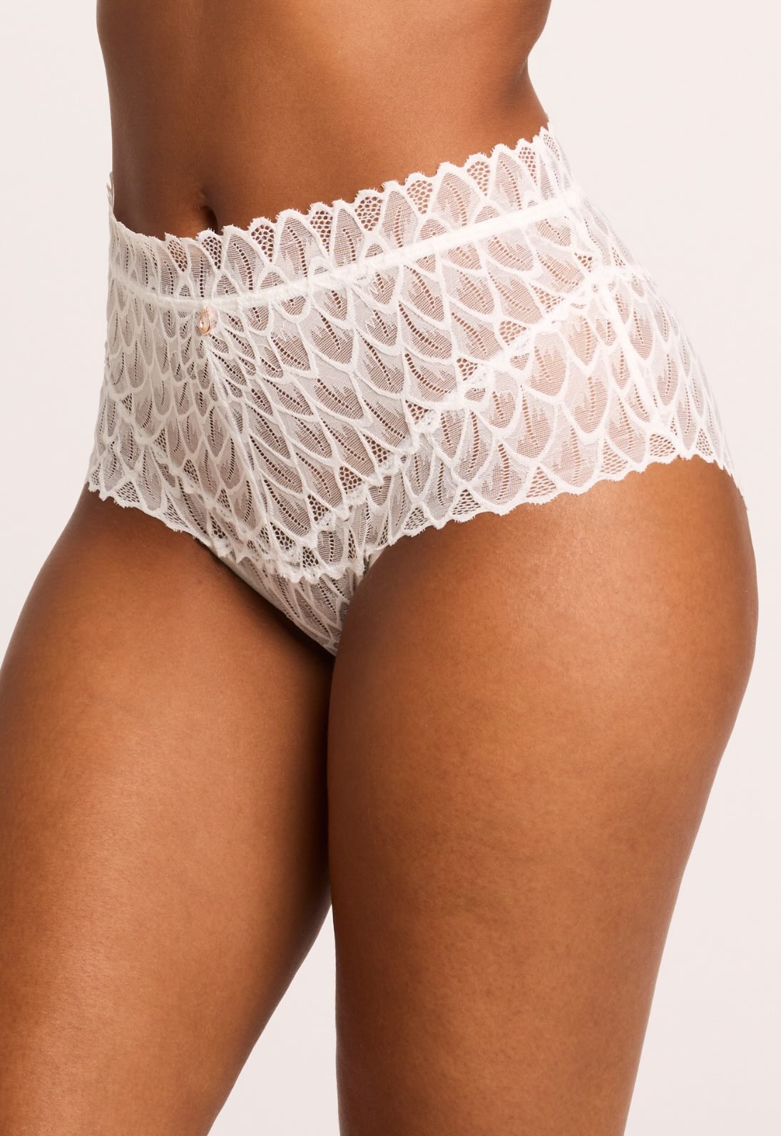 Lacy high waist brief