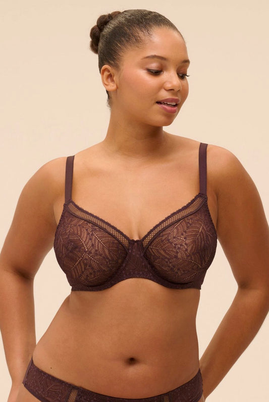 Comete moulded plunge bra - brun fonce