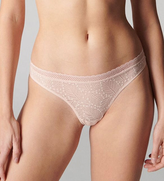 Comete tanga